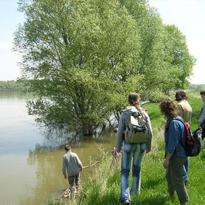 20_d_drava03