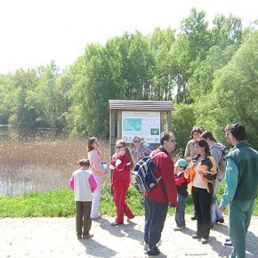 20_d_drava07