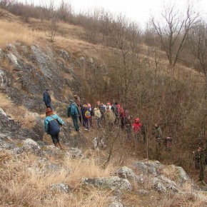 20_d_drava08