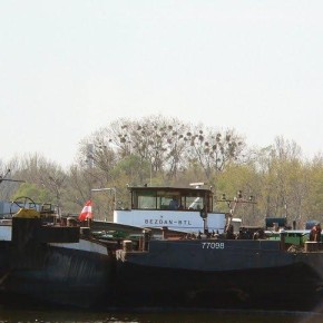 Венгерский флот, BEZDAN, самоходная баржа, толкач