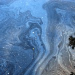 На реке Дунай  обнаружено нефтяное пятно