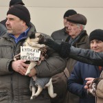 Возле проходной ППК-1 Измаильского морского порта состоялся митинг против сокращений.