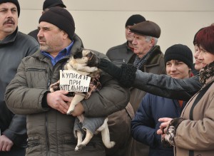 Купили при Котельном