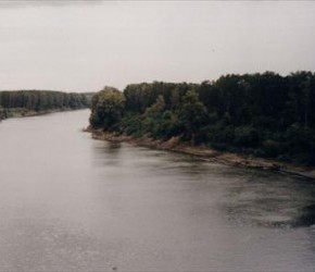 Обмеления дунай на Болгарском участке