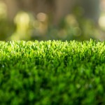 Отзывы о продаже удобрений для газона от компании Мосагрогрупп: обзор товаров